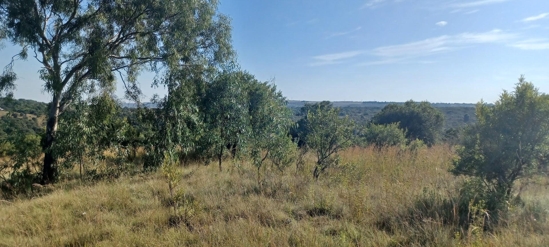 Zebra's Nest Eco Estate
