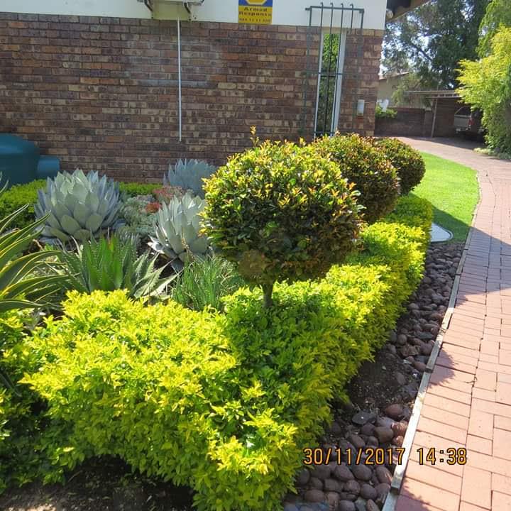 CAYENA PROPERTY
