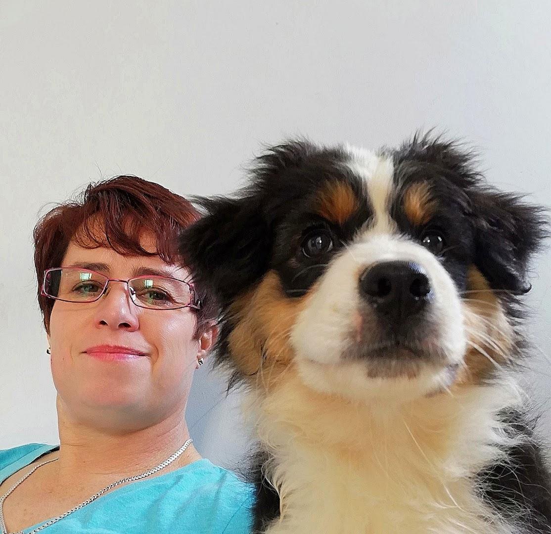 Pet and House Sitting for You