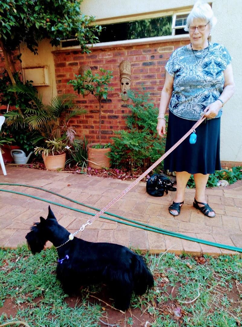 Distinctive Dogs &amp; Cats