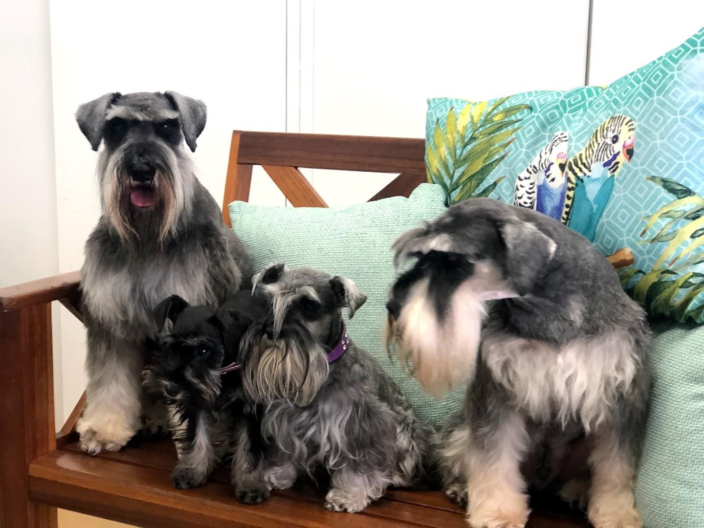 La-Chic Doggy boutique &amp; Doggy spa