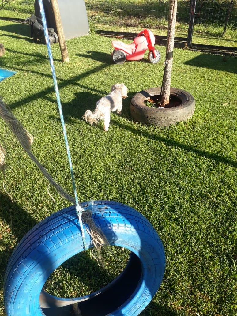 The Country Pet Hotel &amp; Dog Barber