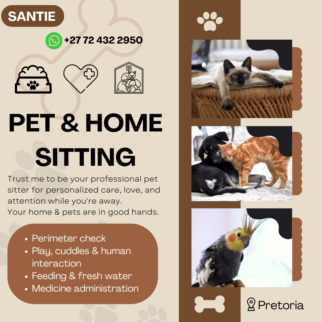 Santie's Pet &amp; House Sitting