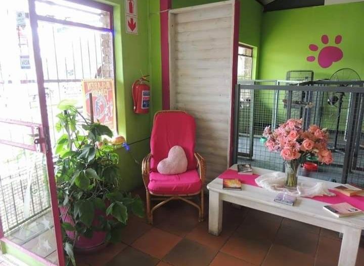 Pamper 4 Paws