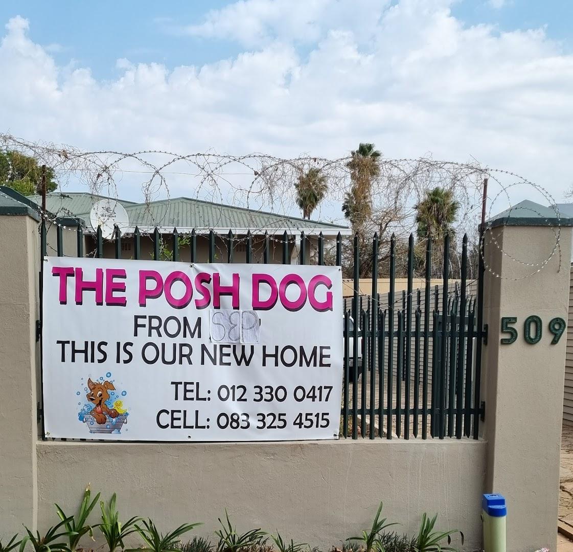 The Posh Dog