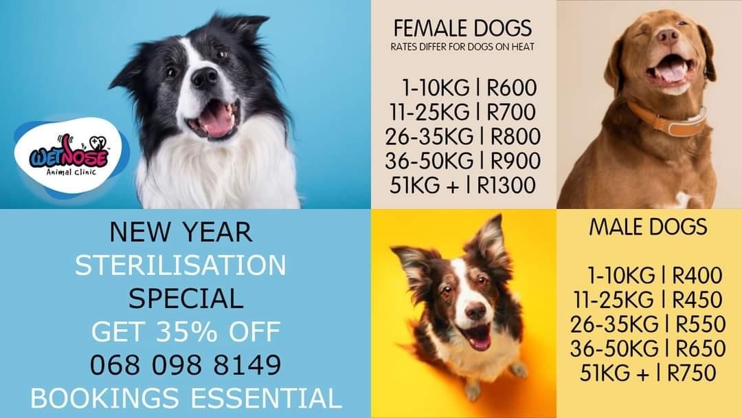 Wet Nose Animal Clinic - Vaalbank R104 at the Shelter