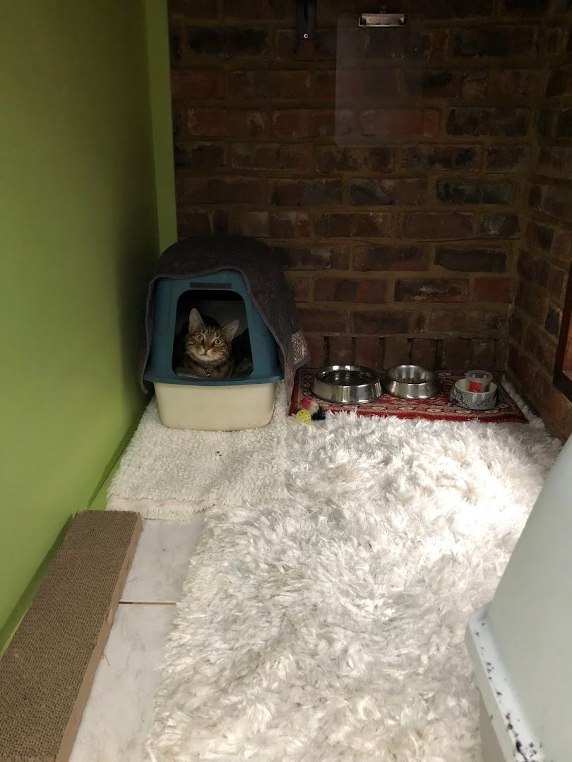 Menlyn Kennels And Cattery