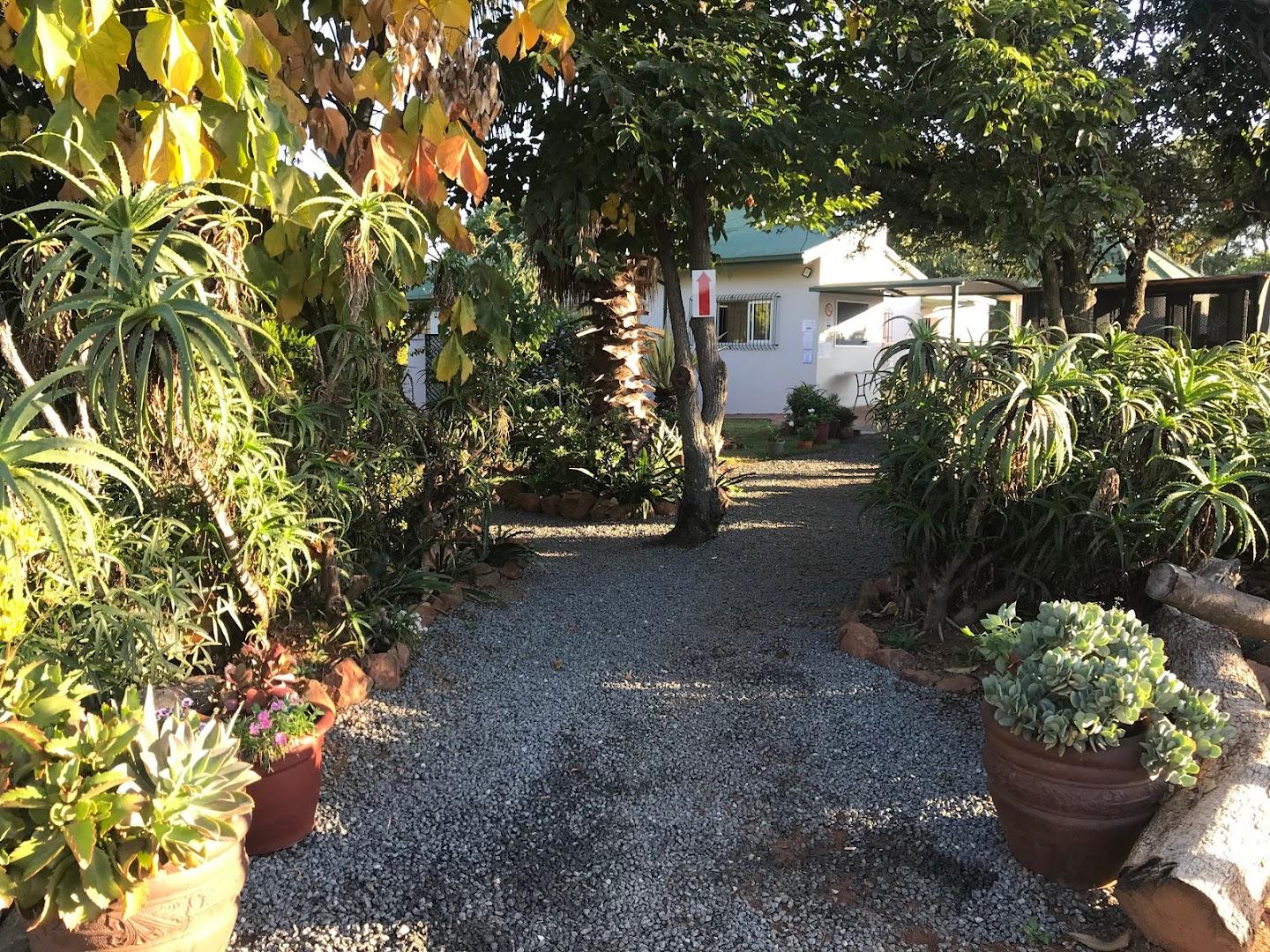 Pyramid Veterinary Clinic