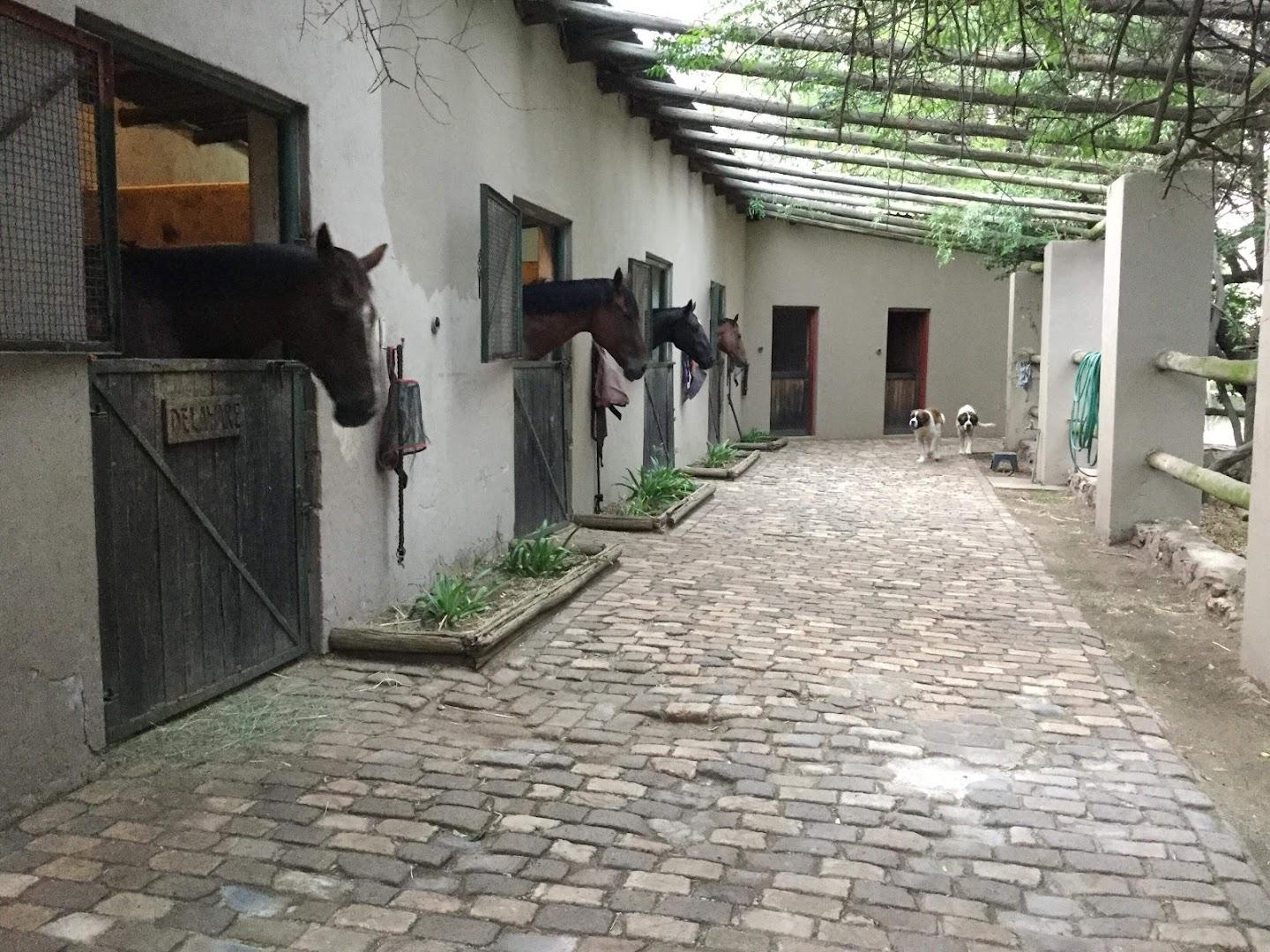 Aurora Equestrian Yard
