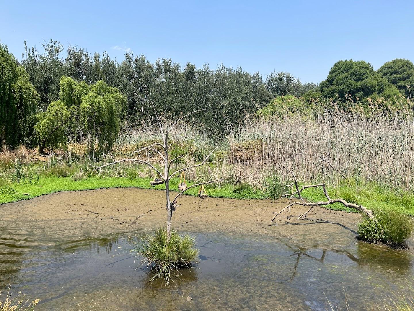 Austin Roberts Bird Sanctuary