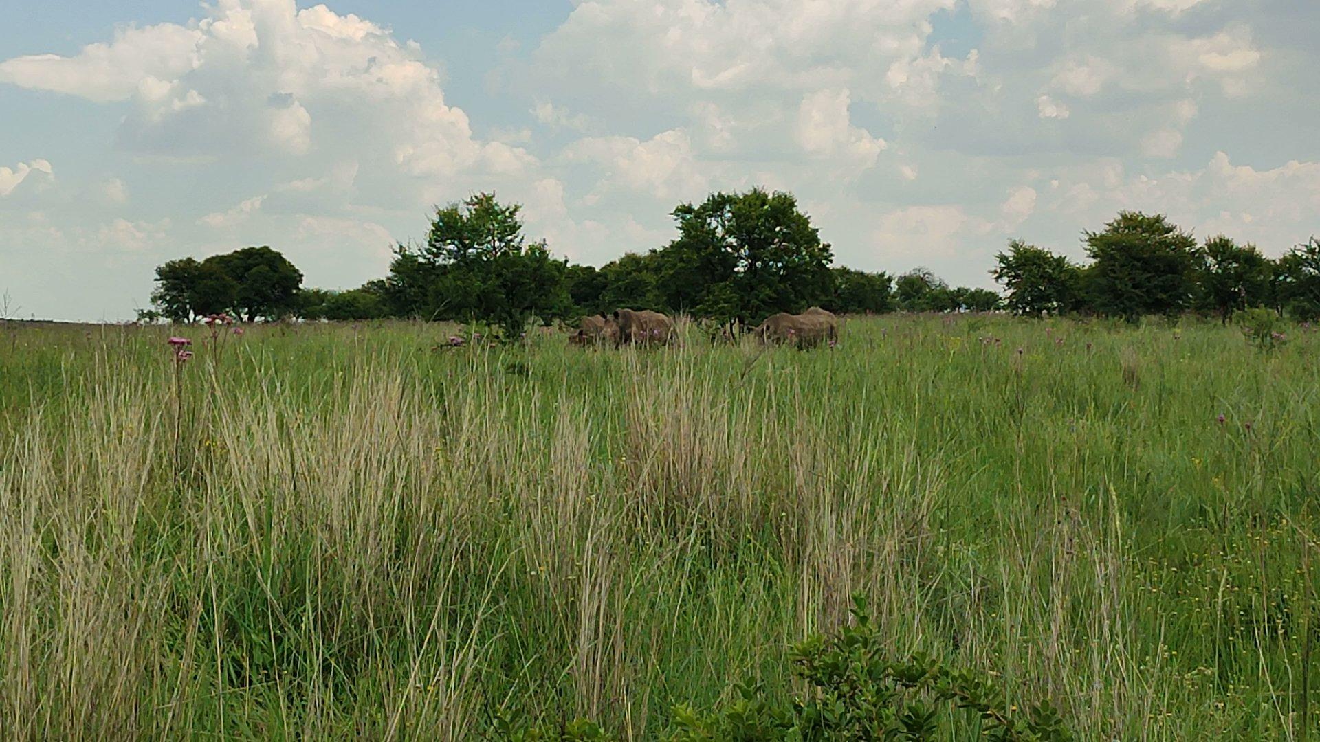 Rietvlei Nature Reserve Entrance Gate
