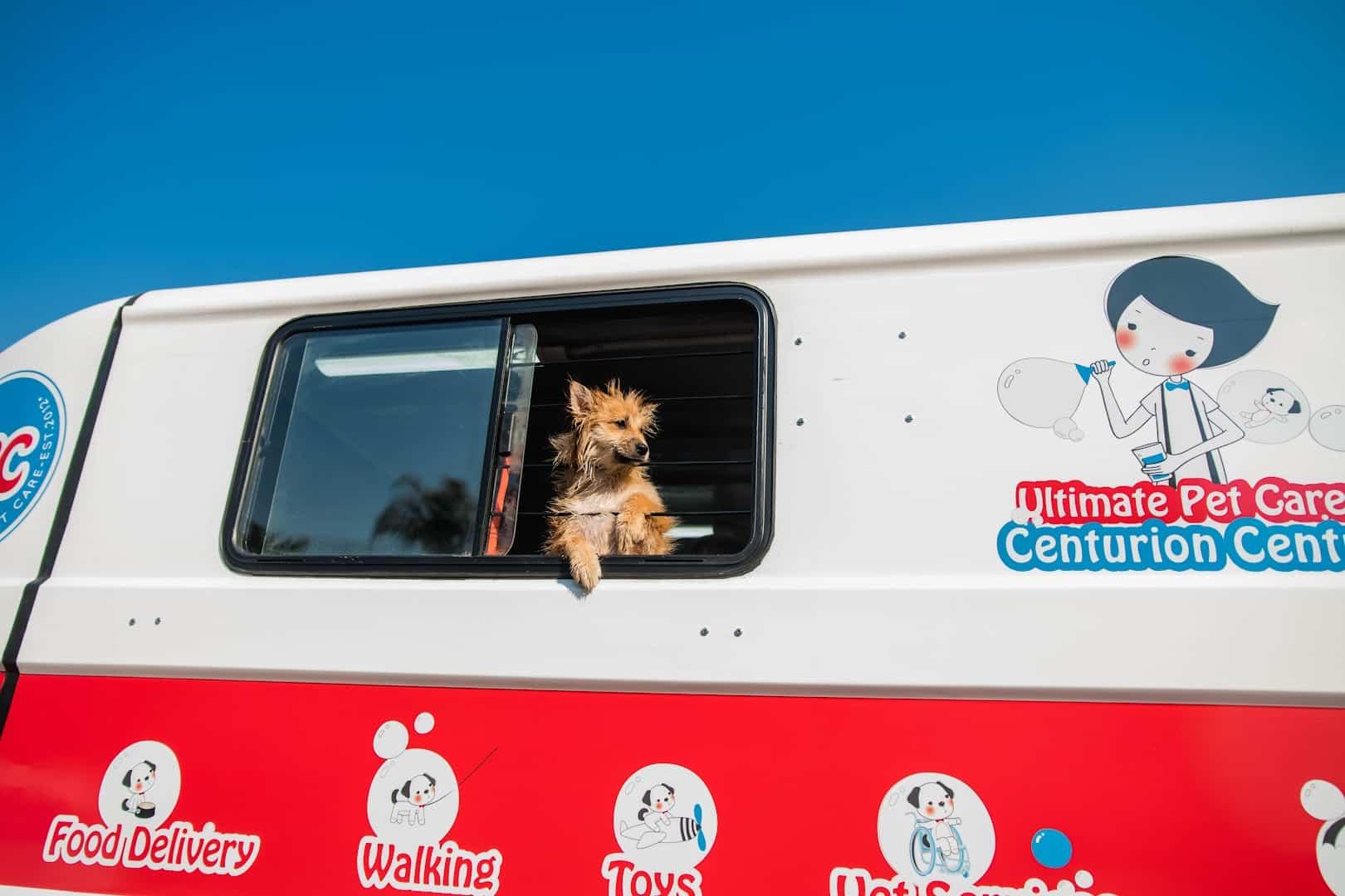 Ultimate Pet Care - Centurion Central
