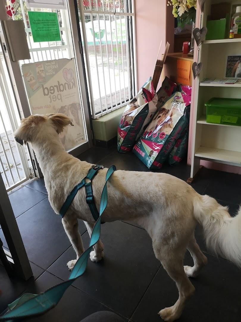 Lulu-Bell Doggy Parlour
