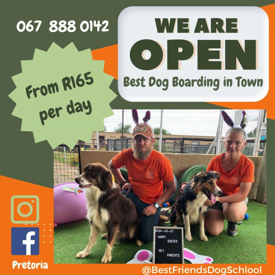 Best Friends Dog School