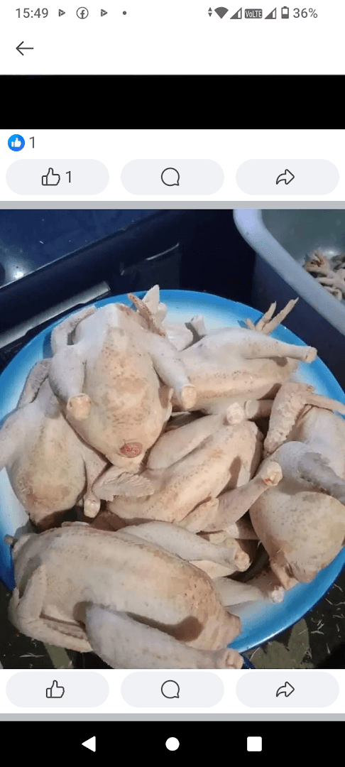 Rosa' chicken