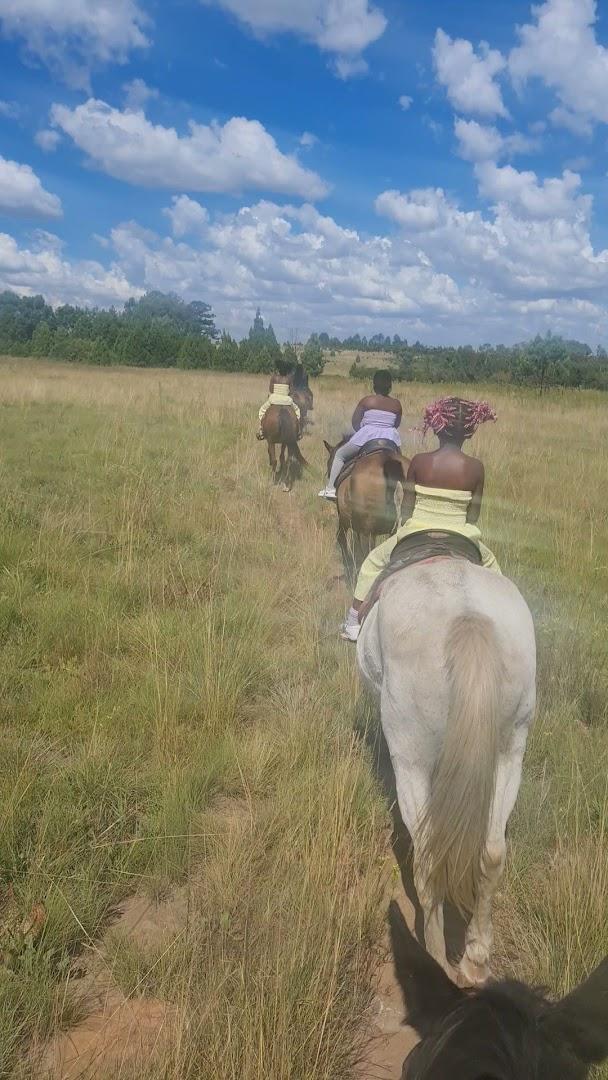 Horse Riding Adventure