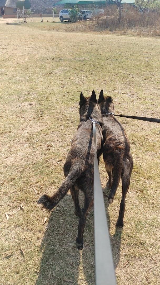 Kaizer K9 Training Centre