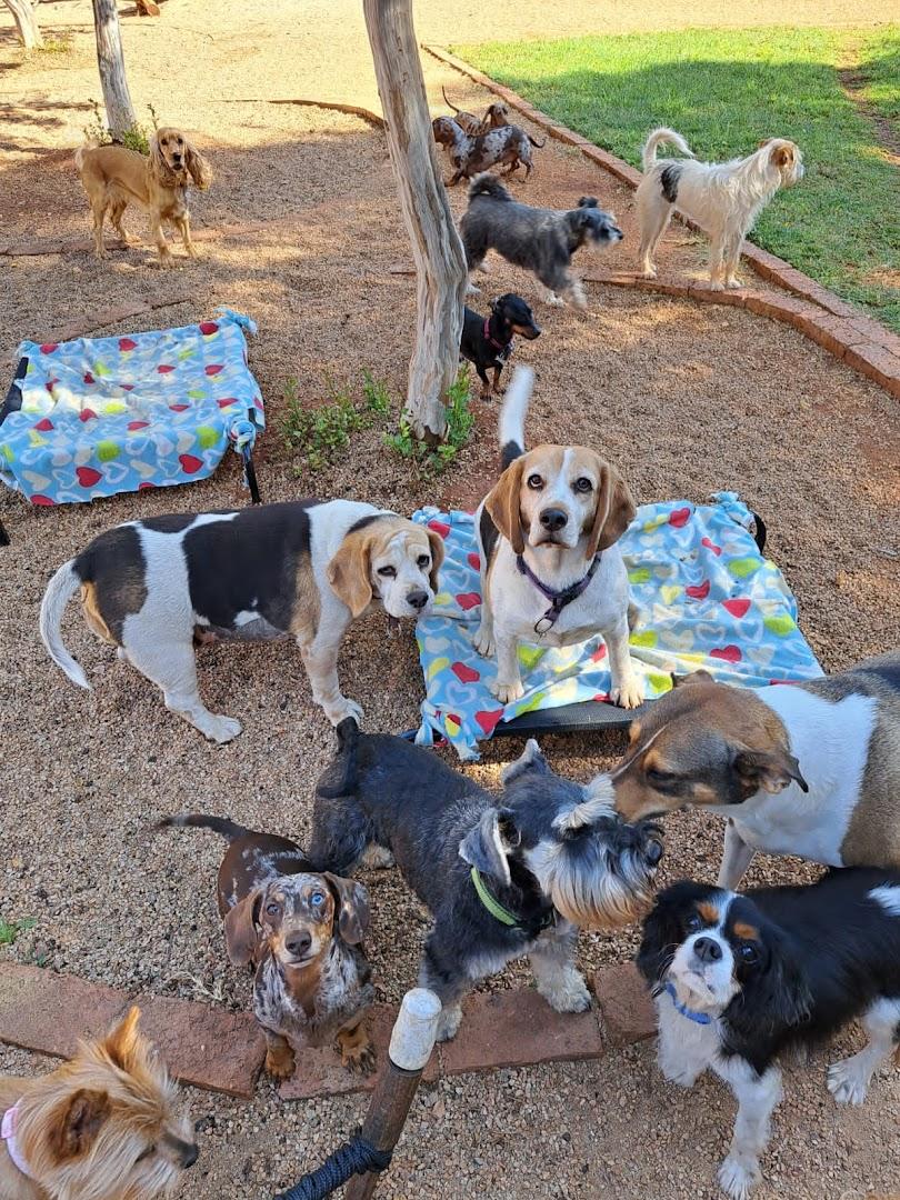 Pawsome Pet Lodge