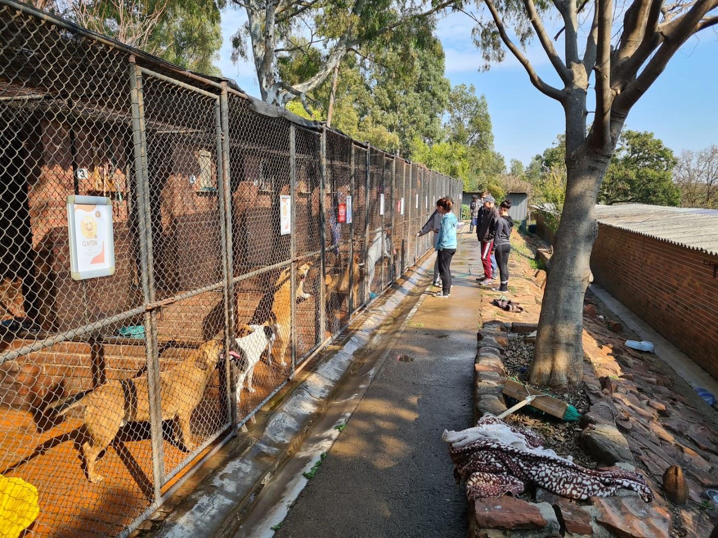 Pretoria Dog Rescue