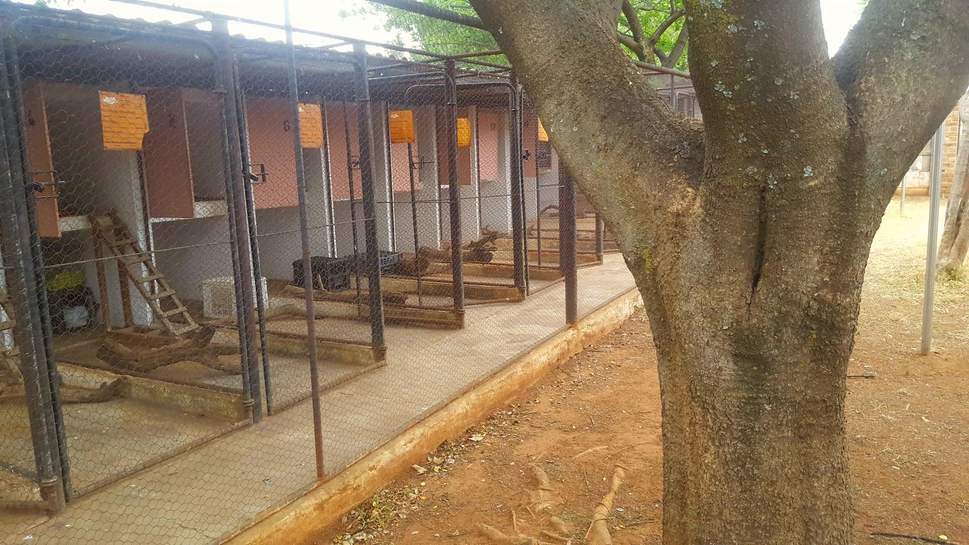 Villa Siesta Pet Retreat