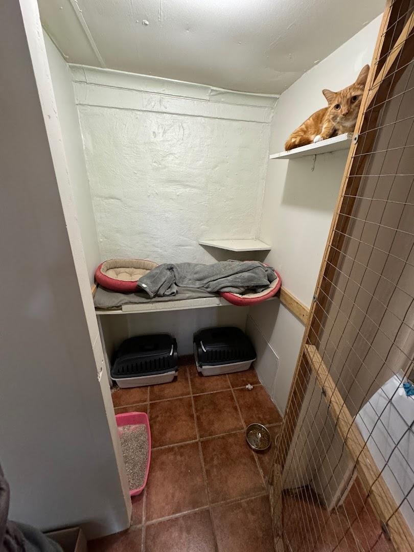 The Catnap inn