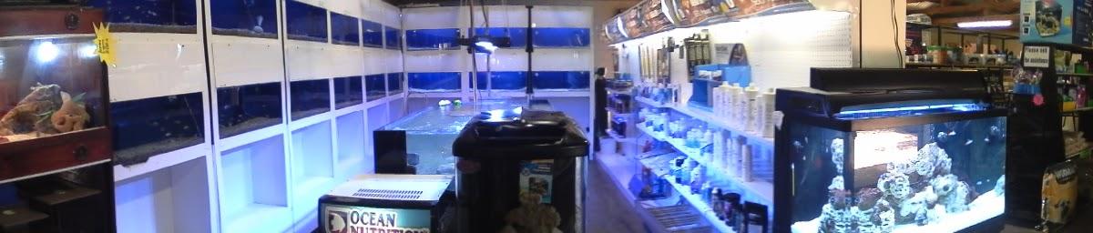 The Wilds Pet Corner