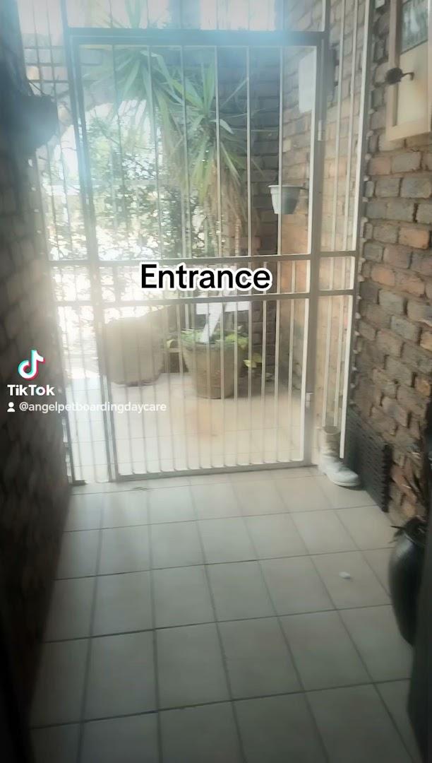 Angel pet daycare and boarding