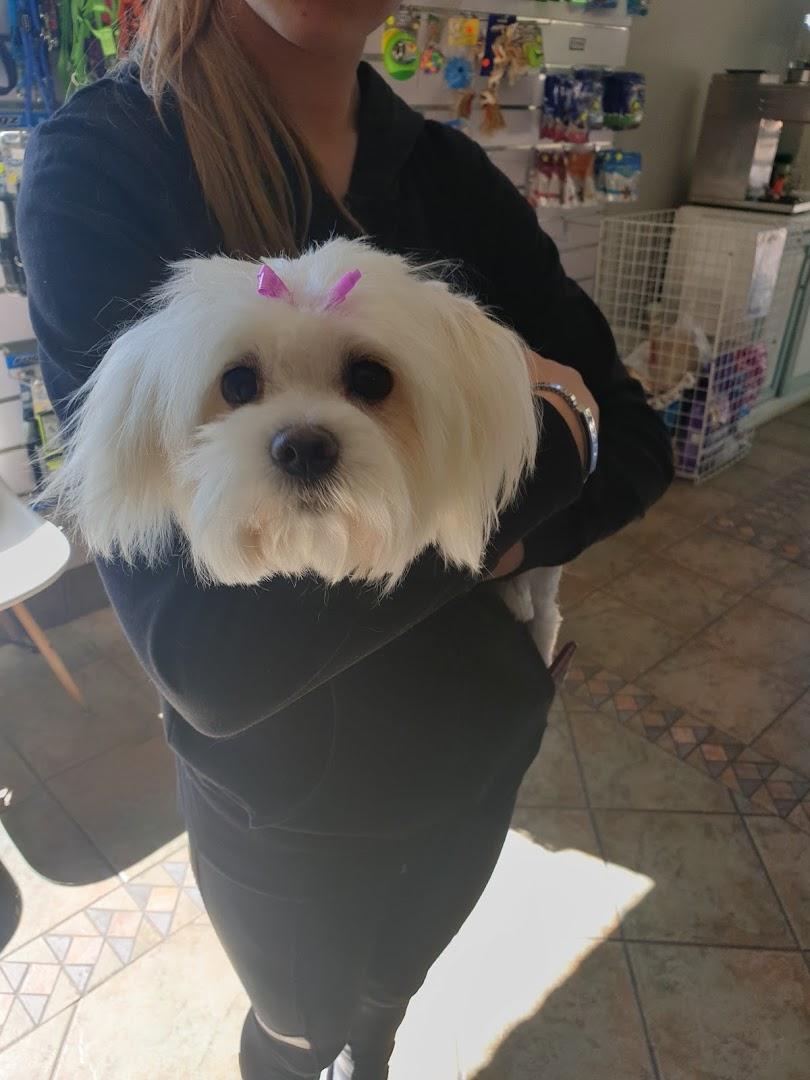 Waterkloof Glen Animal Hospital