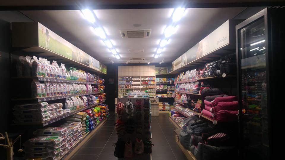 Absolute Pets Groenkloof