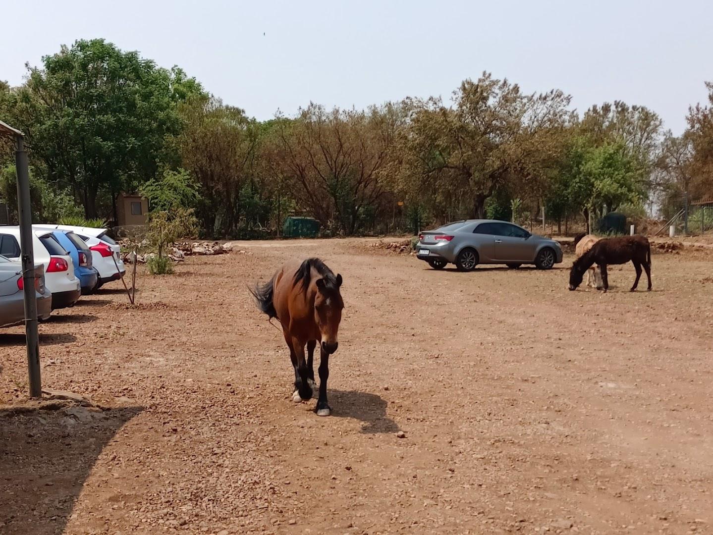 Woodrock Animal Rescue