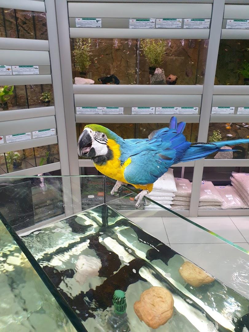 The Queen Pet Shop - Moreleta Plaza