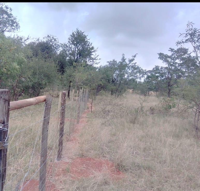 Dikgomo Bush-Camp