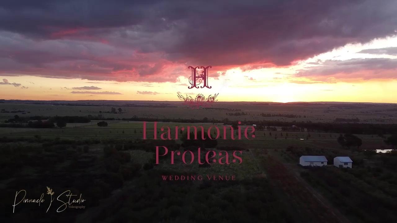 Harmonie Proteas