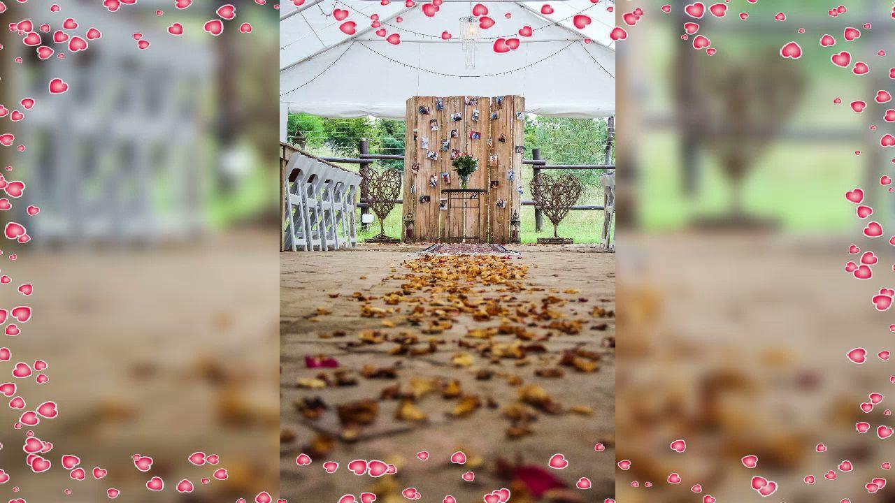 God's Gift Events Inc The Picnic Spot ZA