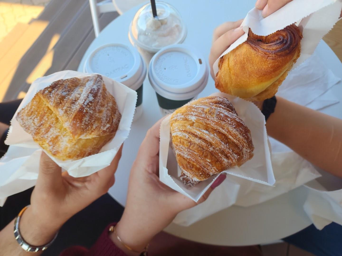 Plato Coffee - Inscape