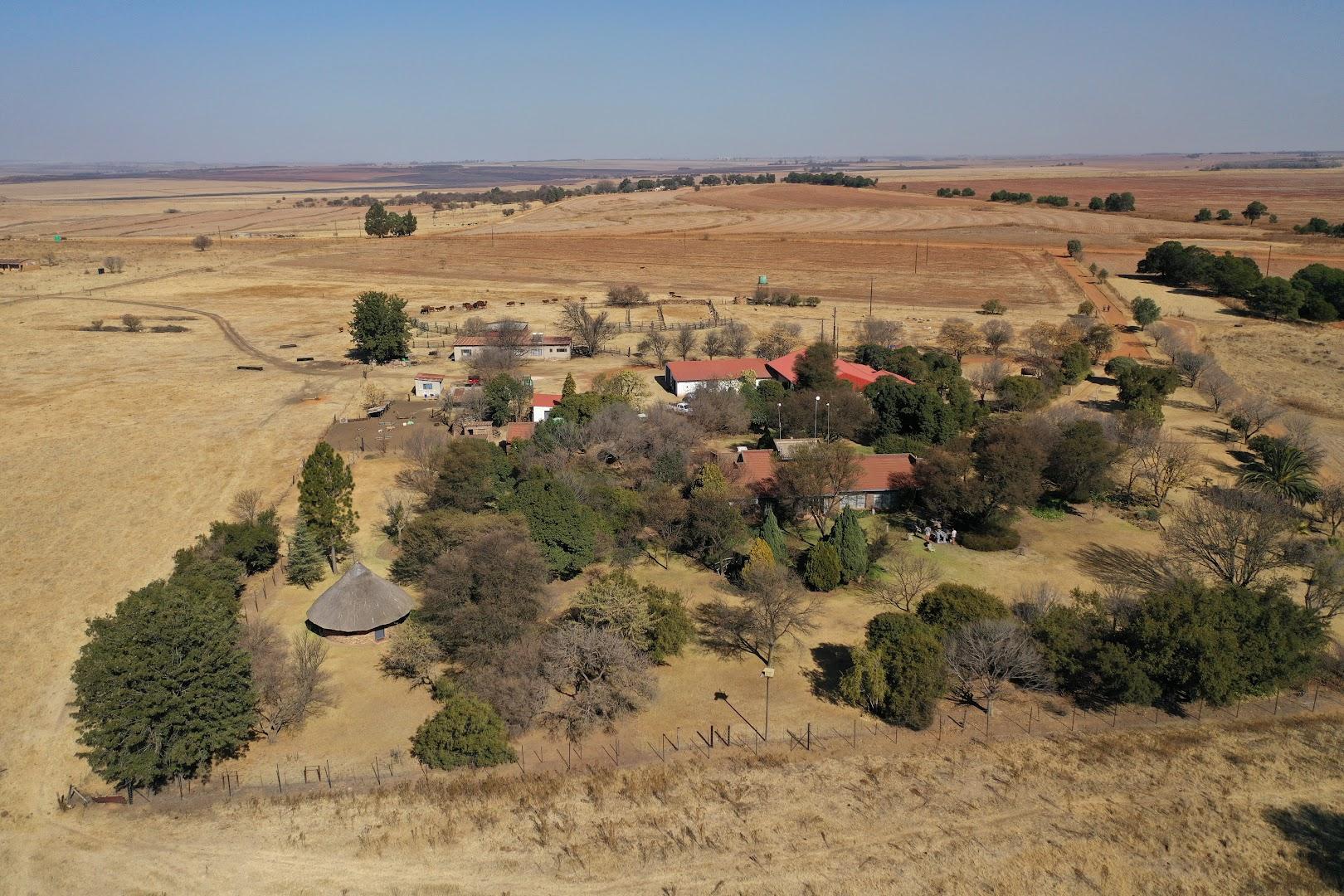 Blesbokfontein