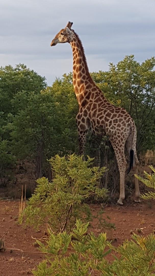 Welgedacht Game Reserve