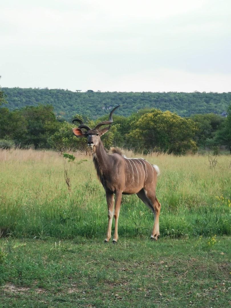 Leeuwgedacht Conservancy