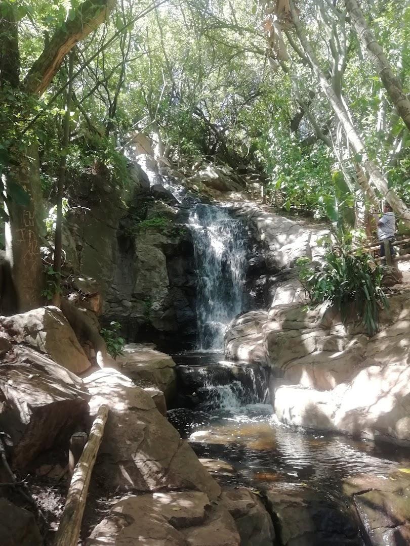 South African National Biodiversity Institute