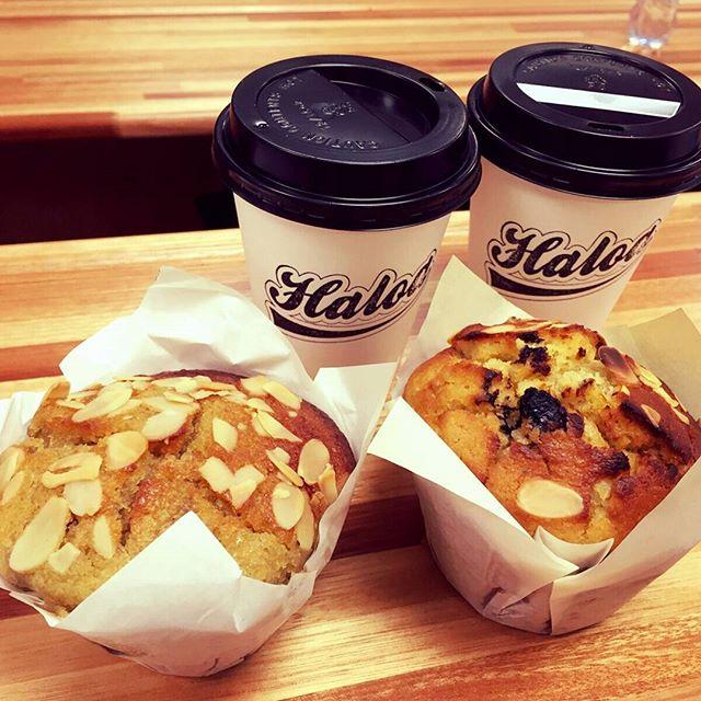 Haloa Coffee Hatfield.