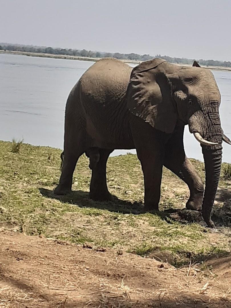 Afrika Zambezi Safaris