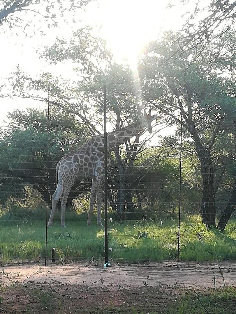 Phakama Lodge