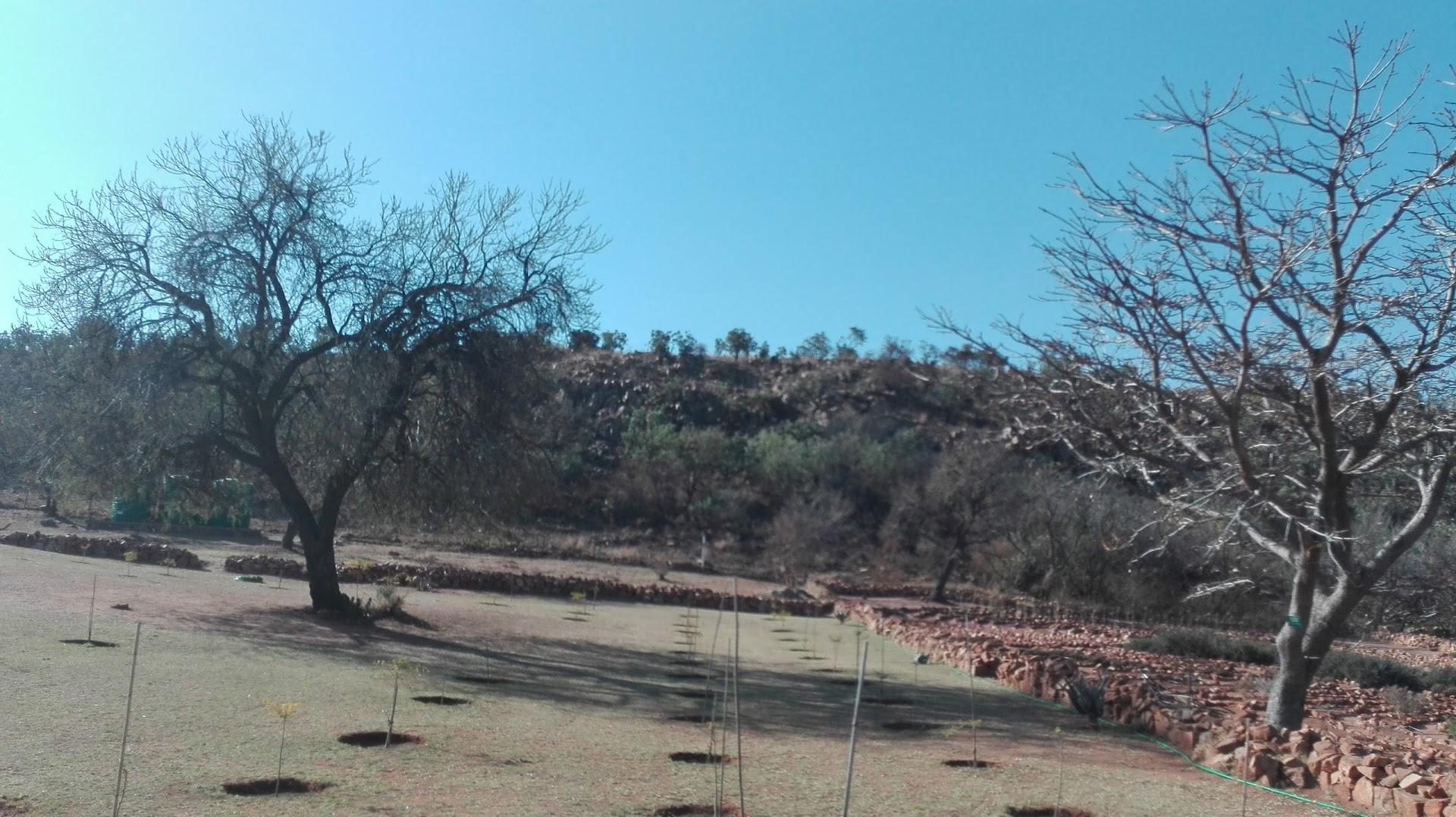 Nozi's Accommodation Centre