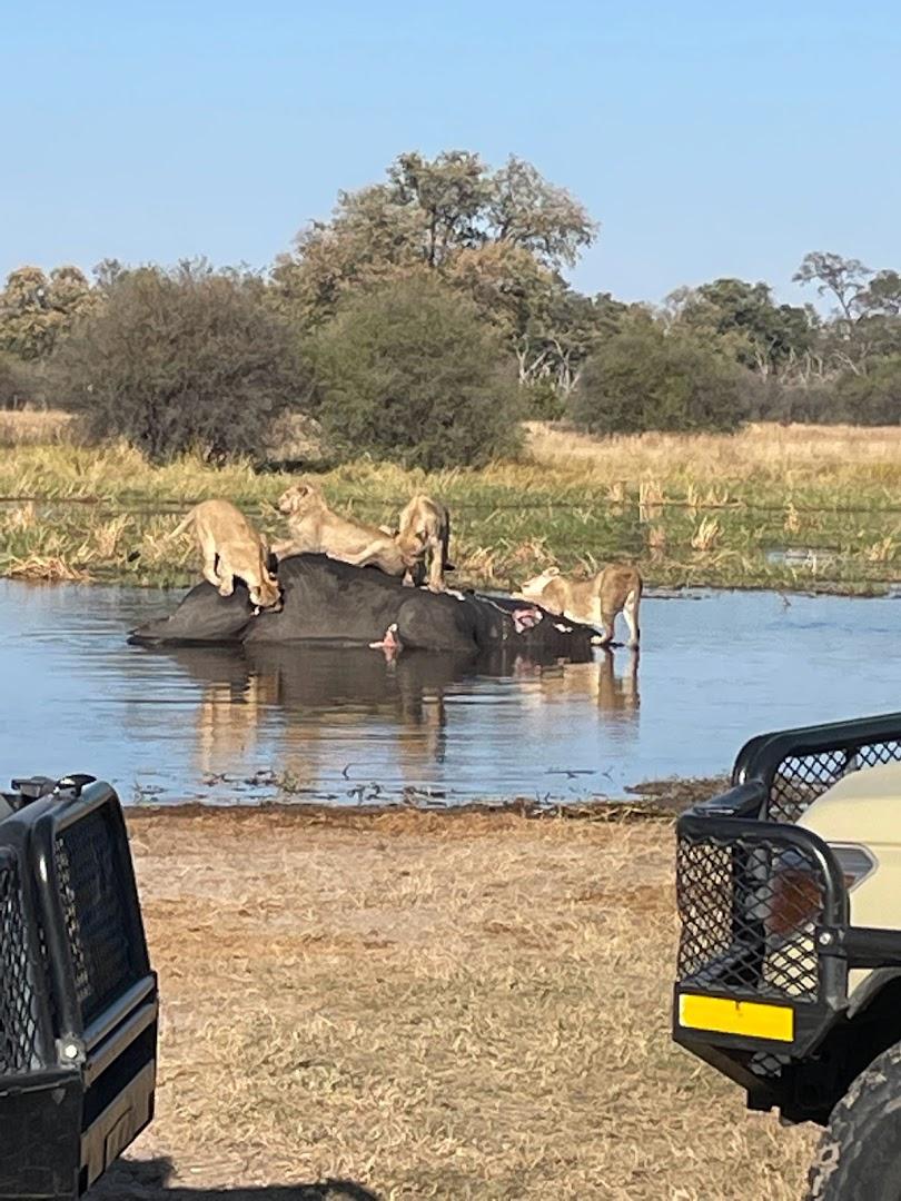 Jabulani Private Expeditions