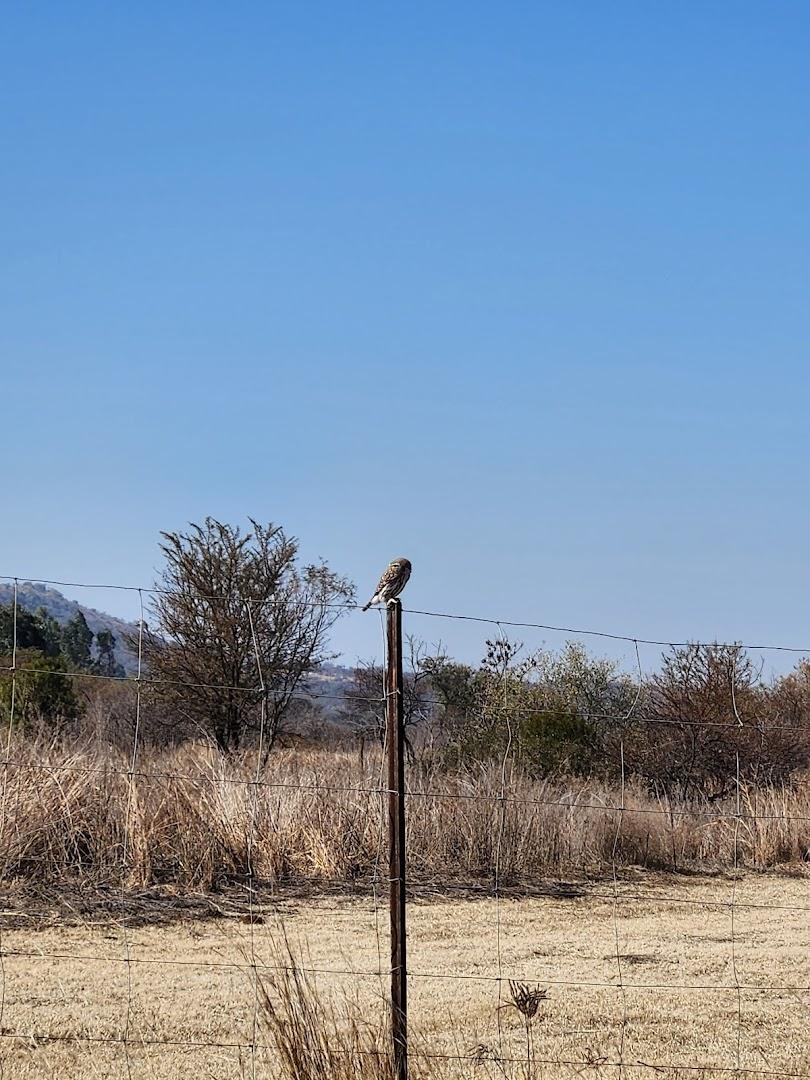 Cullinan Game Farm
