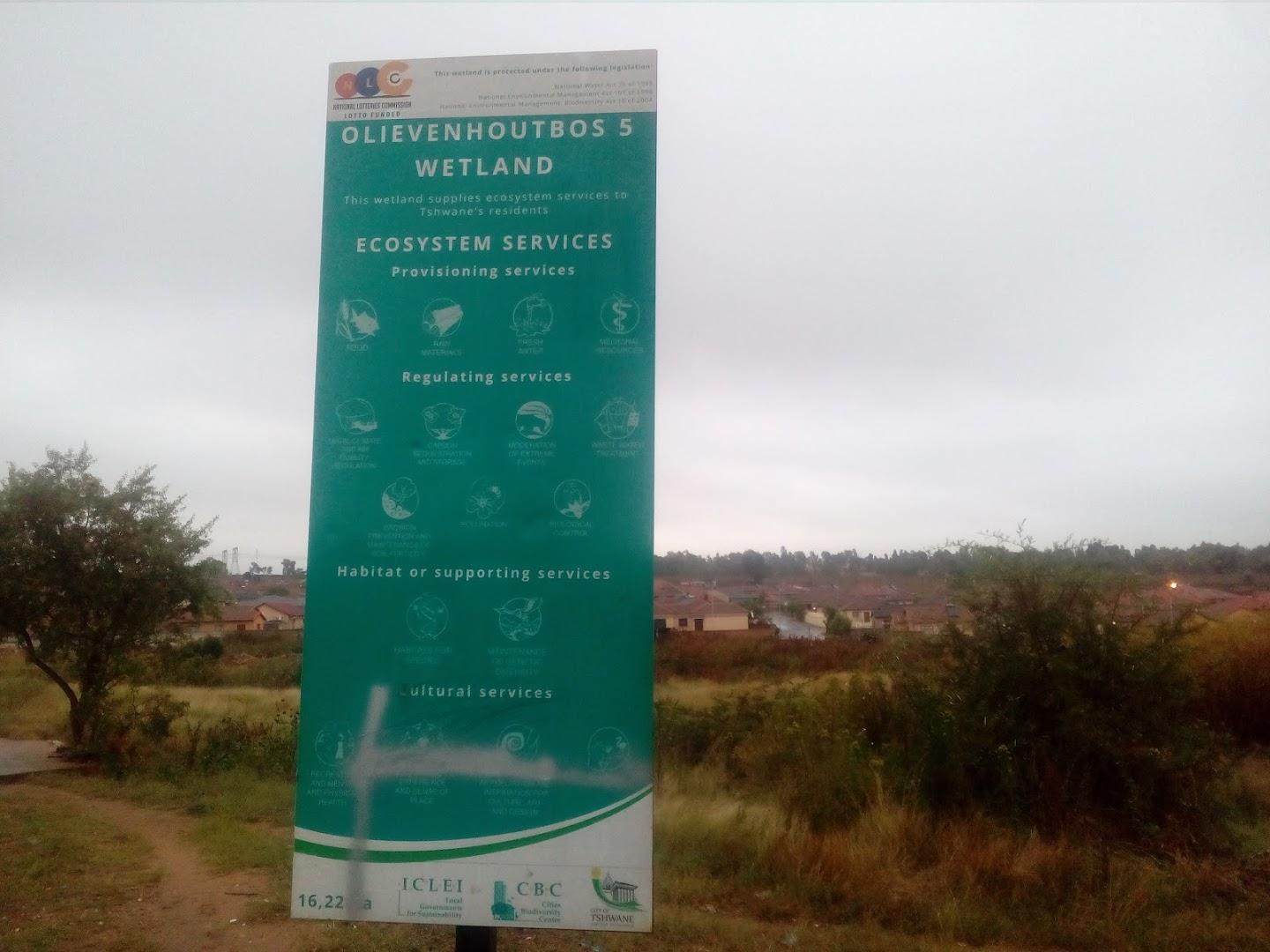 Wetlands Oliviv