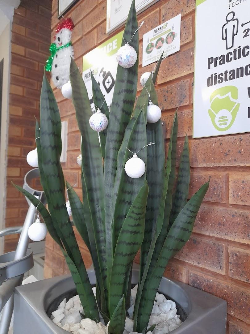 Pierre @ Eco Health (Pty) Ltd