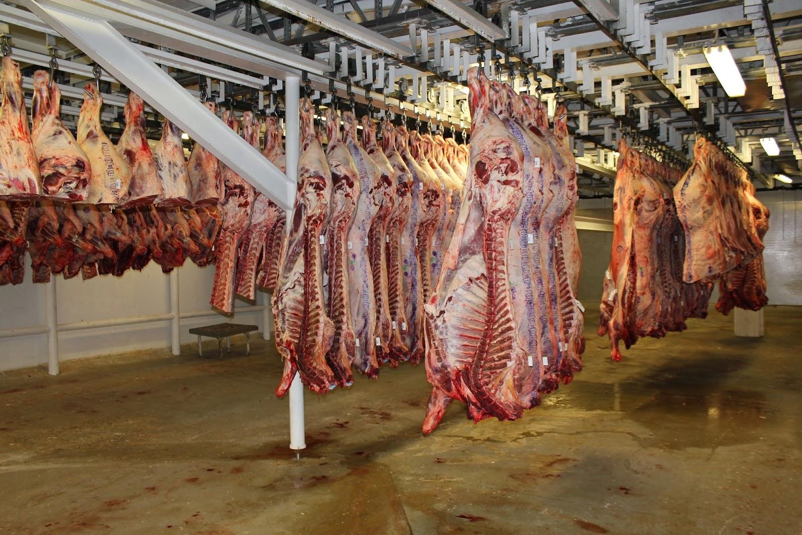 Vleis1 Fresh Meat