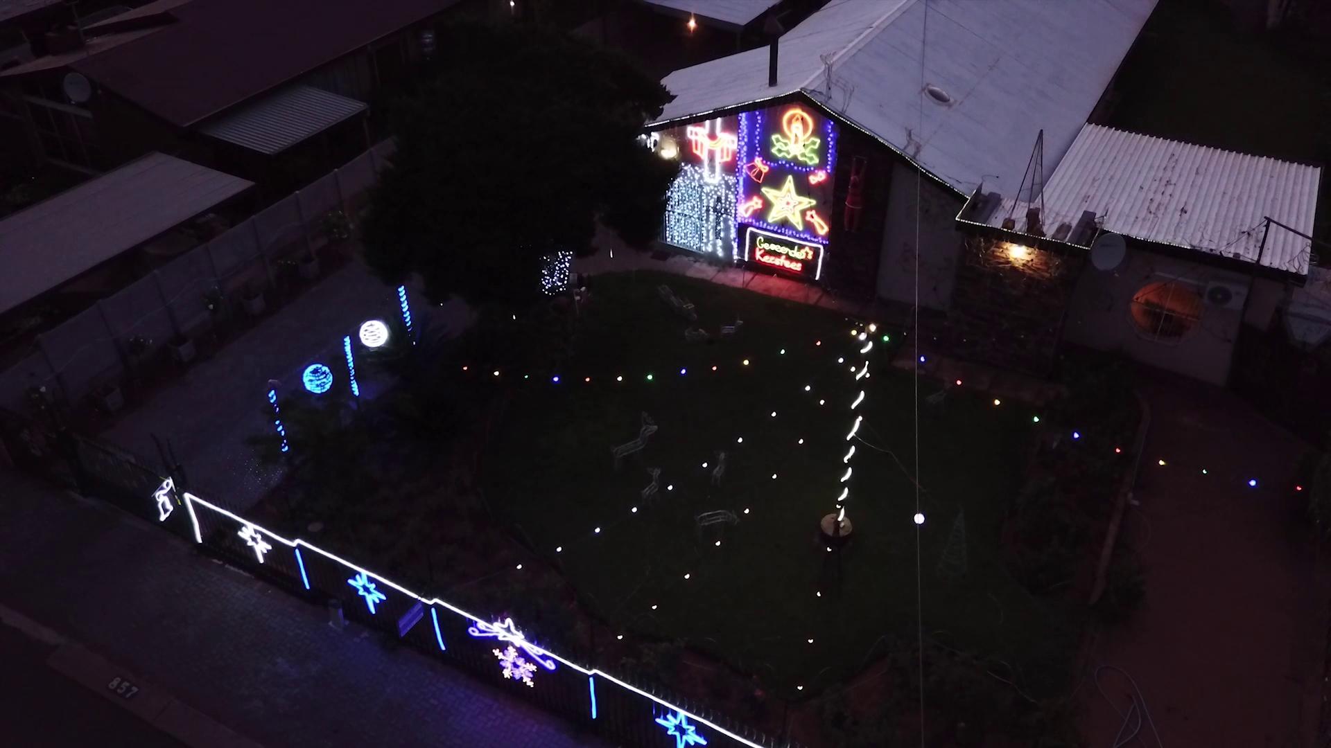 Festive Lights