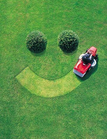 Dennis Mowers (Pty) Ltd
